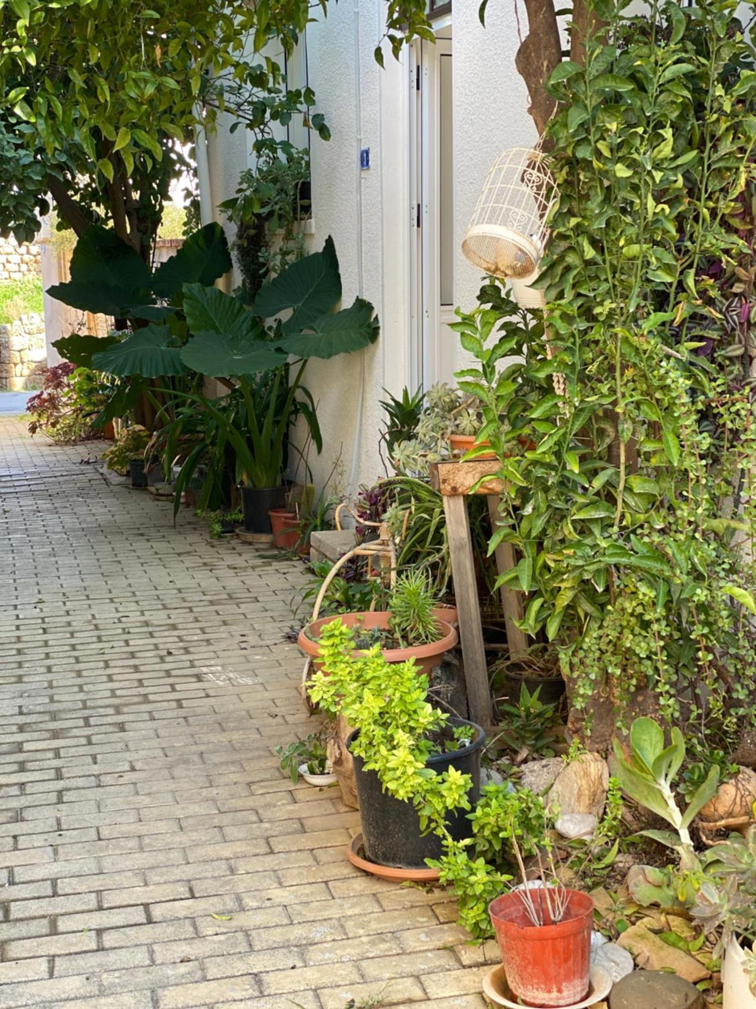 Grandmother'S House Famagusta (Northern Cyprus) Exterior foto