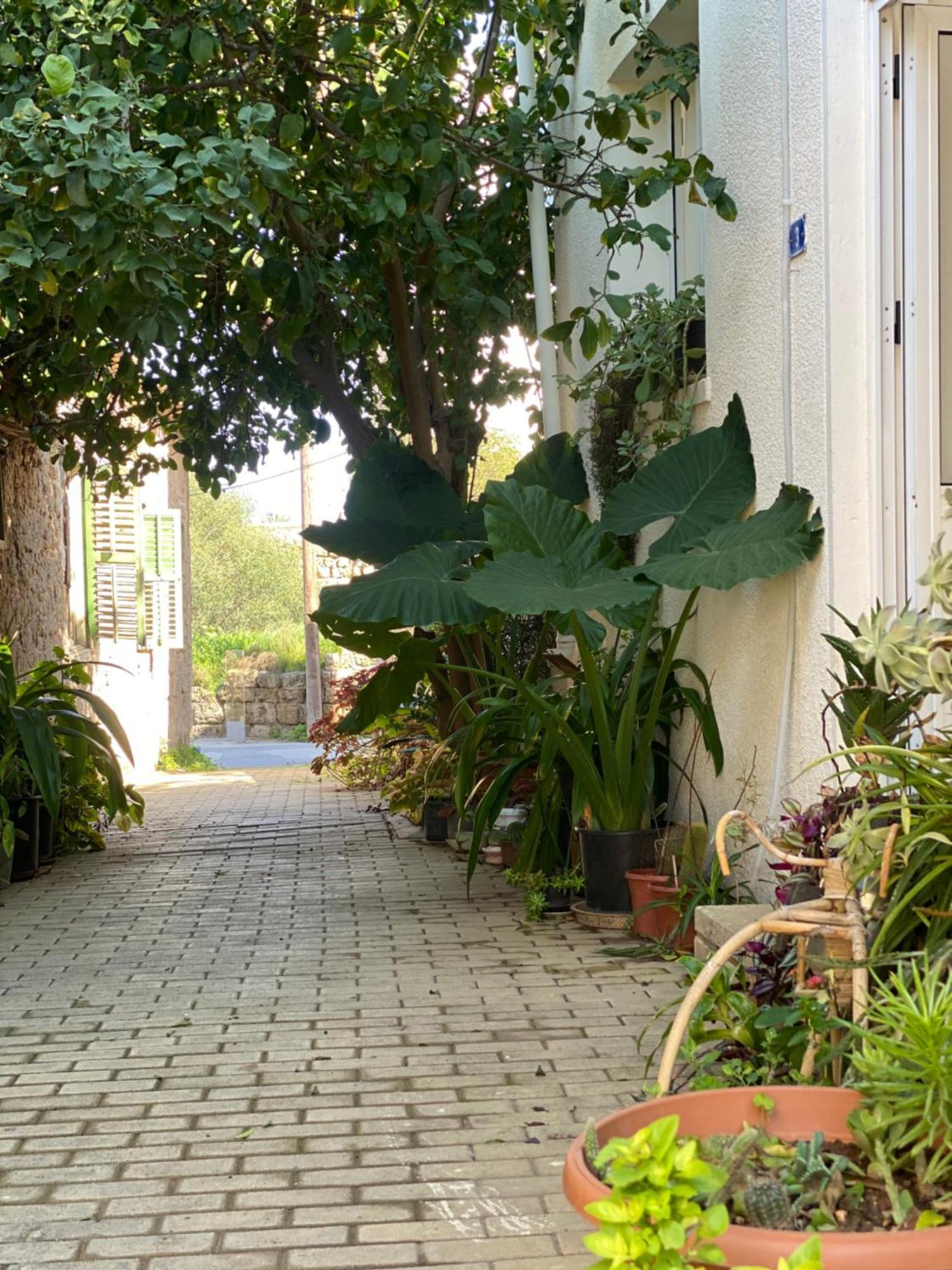 Grandmother'S House Famagusta (Northern Cyprus) Exterior foto